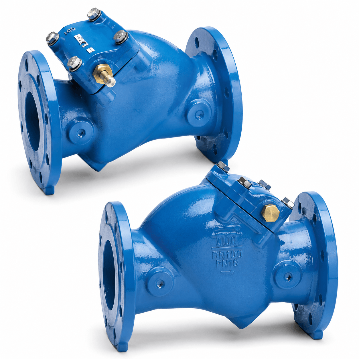 Blue flanged check valves