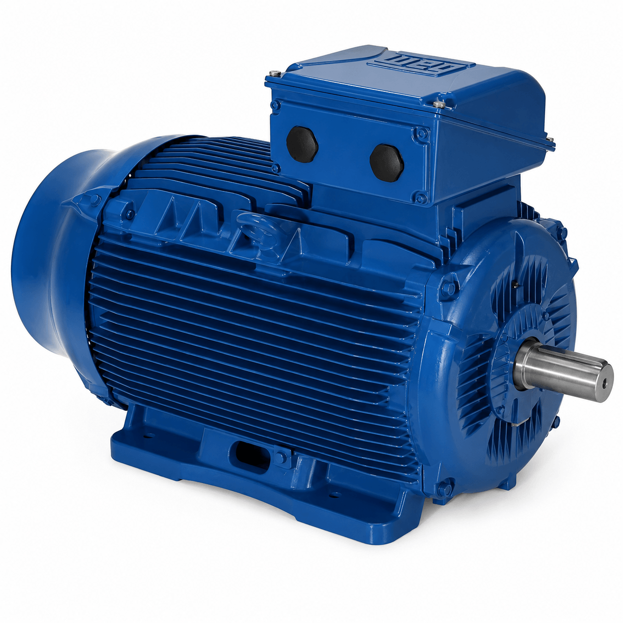 WEG electric motor